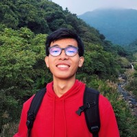 David Nguyen