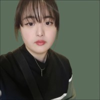 Ha Eun Lee