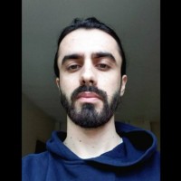 Abolfazl A.Ansari