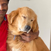 GANGADHARA Y B BASAPPA