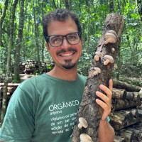 Thales Bevilacqua Mendonça