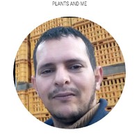 Ali Moustahil
