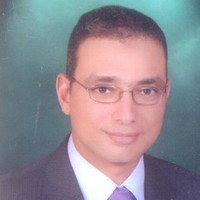 Hossam Negm