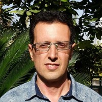 Meir Levi