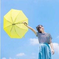 高秋宇