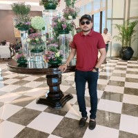 Sourav Arya