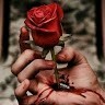 تها Yfgfdظن