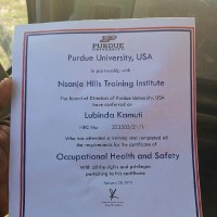 kamuti lubinda