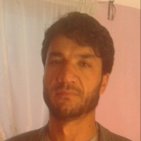 Cuckoo Haidari