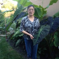 Kuan Tran