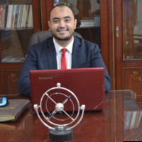 Mohamed Amer