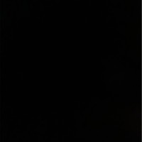 ياسمين محمد