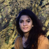Özlem Tan