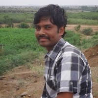 Pavan Rose