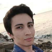 Joris Idjellidaine