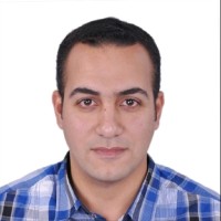 Mohamed Hamdy Amer