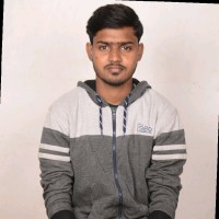 Kashish Wanjari