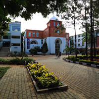 Impact Architecture