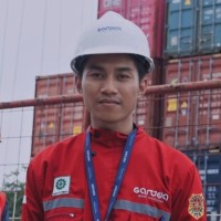 Fir Daus