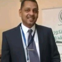 SHAMSELDIN ELFADIL SHAMSELDIN