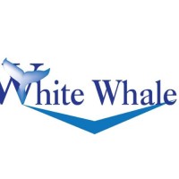 White Whale