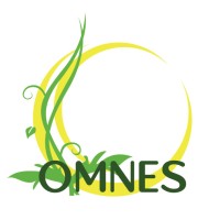 Association OMNES