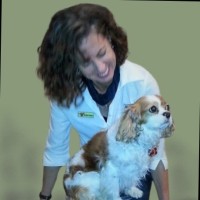 Karin Dreyer (Haasbroek)