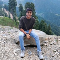 Vedant Raizada