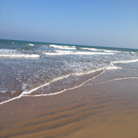 夏骋翔hsia