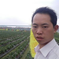 刘其连