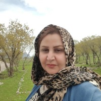 negin habibi
