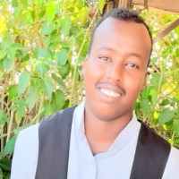 moha abdiqani
