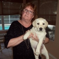linda bowman