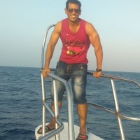 Amr Gharib