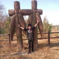 相惜若