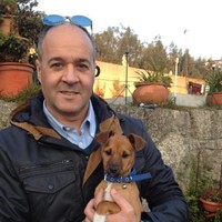 Rui Nuno Cunha