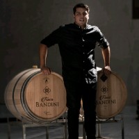 Carlos Moreno Palacios