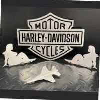 Laser Dave Barton