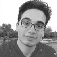 Ehab Ali