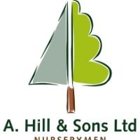 A Hill and Sons Ltd