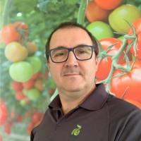 David Janik