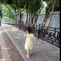 刘孝冬