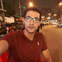 Nasr moheb Allam