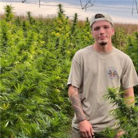 Travis Layton