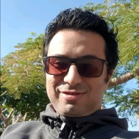 Ahmed El Mallawany