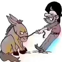 付佳男