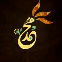 Mohammed Gaber