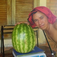 Lesmo Lorenzo