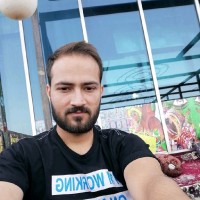 Muhammad Noman Shakeel