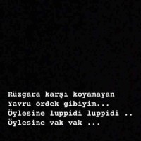 Berke Göçmen
